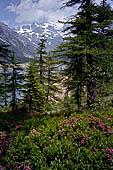 Alpe Devero - la salita al lago di Devero. 